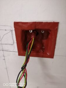 WhatsApp Image 2022-08-02 at 8.19.57 AM